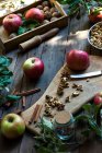 Mele, noci e spezie su un tavolo di legno — Foto stock