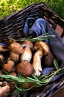 Nahaufnahme von frisch gepflückten Pilzen in einem Korb, Bulgarien — Stockfoto