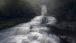 Río que fluye rápido y cascada en un bosque exuberante, Nueva Zelanda - foto de stock