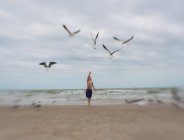 Menino alimentando gaivotas na praia, Texas, EUA — Fotografia de Stock