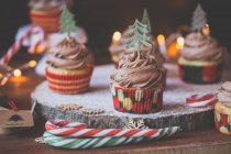 Cupcakes with chocolate buttercream icing decorated with Christmas trees — Stock Photo