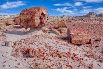 Legno pietrificato spezzato, Jasper Forest, Petrified Forest National Park, Arizona, Stati Uniti d'America — Foto stock