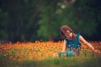 Chica sentada en un prado recogiendo flores silvestres, EE.UU. - foto de stock