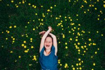 Vista aérea de una chica feliz acostada en un prado sosteniendo flores silvestres, EE.UU. - foto de stock