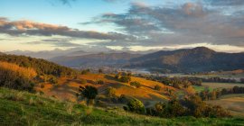 Paisagem rural, Tweed Valley, Nova Gales do Sul, Austrália — Fotografia de Stock
