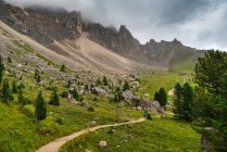 Couple hiking along the Latemar nature trail, South Tyrol, Italy — Stock Photo
