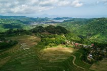 Aerial view of terraced rice fields, Mareje, Lombok, West Nusa Tenggara, Indonesia — Stock Photo