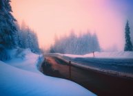 Route à travers un paysage hivernal enneigé, Suisse — Photo de stock
