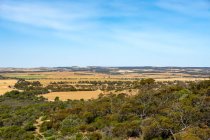 Paisagem rural, Região Centro-Oeste, Austrália Ocidental, Austrália — Fotografia de Stock