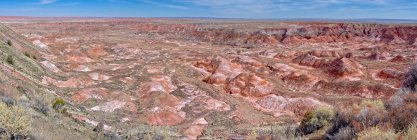 View from Tiponi Point, Petrified Forest National Park, Arizona, USA — Stock Photo