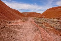 Bentonite Hills and valley in Petrified Forest National Park, Arizona, USA — Stock Photo