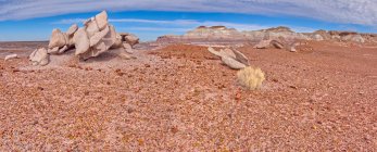 Formations rocheuses dans le désert, parc national de la forêt pétrifiée, Arizona, États-Unis — Photo de stock