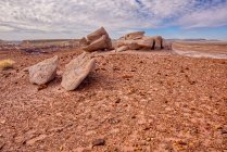 Formazioni rocciose nel deserto, Parco nazionale delle foreste pietrificate, Arizona, USA — Foto stock