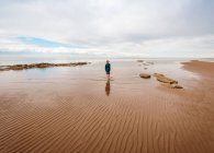 Мальчик прогуливается вдоль пляжа, Бедфорд, Галифакс, Новая Шотландия, Канада — стоковое фото