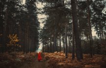 Veduta posteriore di una donna in mantello che cammina attraverso una foresta, Bramshill, Hampshire, Inghilterra, Regno Unito — Foto stock