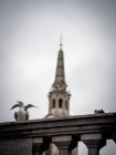 Oiseaux debout sur un mur, Londres, Angleterre, Royaume-Uni — Photo de stock