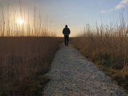 Silhouette eines Mannes, der bei Sonnenuntergang auf einem Fußweg zum Strand geht, Fanoe Bad, Fanoe, Jütland, Dänemark — Stockfoto