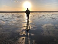 Silhouette d'un homme marchant sur la plage au coucher du soleil, Fanoe Bad, Fanoe, Jutland, Danemark — Photo de stock