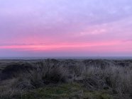 Закат над песчаными дюнами, Фаноэ, Ютландия, Дания — стоковое фото