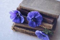 Stack of old books and anemone flowers — Stock Photo