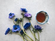 Anemone flowers and cup of tea — Stock Photo