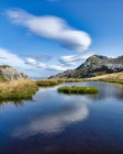 Облака, отраженные в тарне около горы Оуэн, Национальный парк Кахуранги, Южный остров, Новая Зеландия — стоковое фото