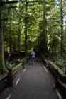 Woman walking in the woods, Cathedral Grove, British Columbia, Canadá — Fotografia de Stock