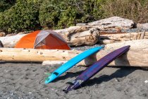 Dos tablas de surf y una tienda de campaña en un camping de playa, Columbia Británica, Canadá - foto de stock
