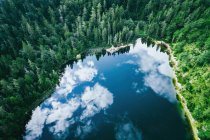 Повітряний вид на відбиття хмар в озері Ейбенсі поблизу Зальцбурга (Австрія). — стокове фото