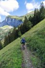 Rear view of man riding a mountain bike along a trail in the Swiss alps, Switzerland — Stock Photo
