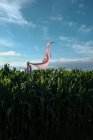 Mãos segurando um lenço rosa no ar em um campo de milho, França — Fotografia de Stock