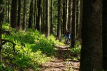 Young woman riding a mountain bike along a trail in the forest, Radstadt, Salzburg, Austria — Stock Photo