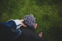 Die Hand einer Frau hält einen Bund frischen Lavendel, Irland — Stockfoto
