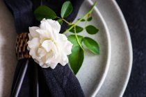 Schöne weiße Blumen auf schwarzem Hintergrund — Stockfoto