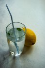 Glas Wasser mit Minzblättern und Zitrone — Stockfoto