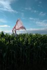 Mãos segurando um lenço rosa no ar em um campo de milho, França — Fotografia de Stock
