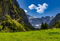 Troupeau de moutons pâturant dans une prairie alpine, Sittlisalp, Suisse — Photo de stock