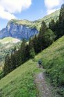 Вид сзади на человека на горном велосипеде по тропе в швейцарских Альпах, Швейцария — стоковое фото