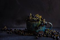Крупним планом чашку свіжої чорної смородини — стокове фото