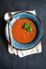 Crema di zuppa di pomodoro con guarnire origano — Foto stock