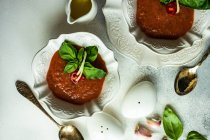 Due ciotole di zuppa di gazpacho con sale e pepe pentole — Foto stock