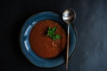 Crema de sopa de tomate con adorno de orégano - foto de stock