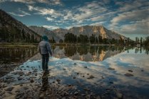 Man looking at mountain reflections in Robinson Lake, Inyo National Forest, California, USA — Stock Photo