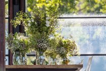 Vases filled with native Australian flowers — Stock Photo