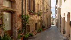 Street through medieval town, Bibbona, Livorno, Tuscany, Italy — Stock Photo