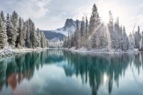 Réflexions sur les forêts et les montagnes au lac Emerald, parc national Banff, Alberta, Canada — Photo de stock