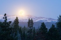 Luna piena che sorge sulle montagne, Sequoia National Park, California, USA — Foto stock