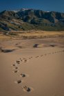 Empreintes de pas à travers les dunes sonores en face des montagnes de Sangre De Cristo, parc national des dunes de sable, Colorado, États-Unis — Photo de stock
