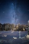 Stars Over Snow Covered Alpine Forest and Cross, Sequoia National Park, California, USA — Stock Photo