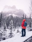 Wanderin mit Blick auf die Berge, Banff National Park, Alberta, Kanada — Stockfoto